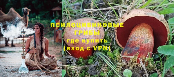 крисы Нязепетровск
