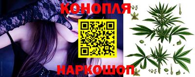 прущие грибы Балаково