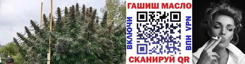 продажа наркотиков  Йошкар-Ола  ТГК Wax 