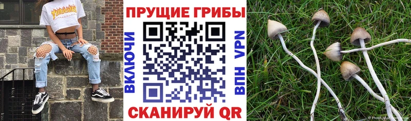 Галлюциногенные грибы ЛСД  Йошкар-Ола 
