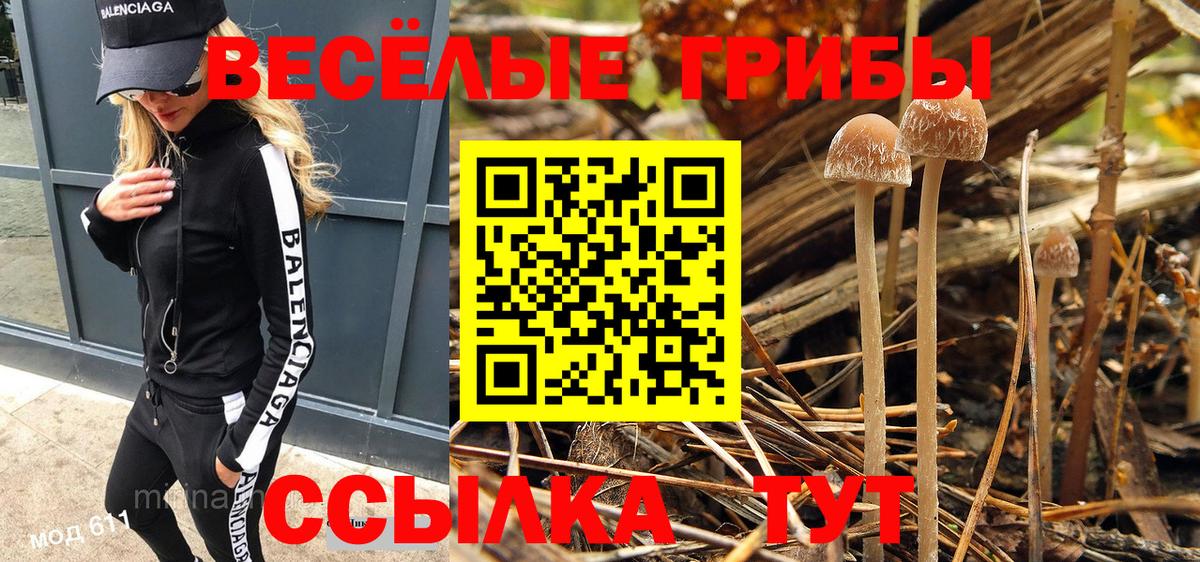 Псилоцибиновые грибы Psilocybine cubensis Йошкар-Ола