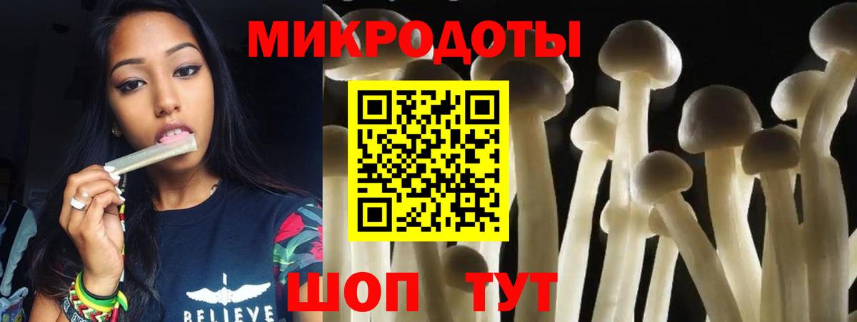 Йошкар-Ола  Псилоцибиновые грибы мухоморы  наркотики  Вход с VPN  Псилоцибиновые грибы Cubensis 